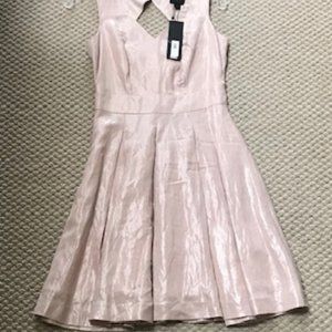 Banana Republic Pink Shimmer Dress